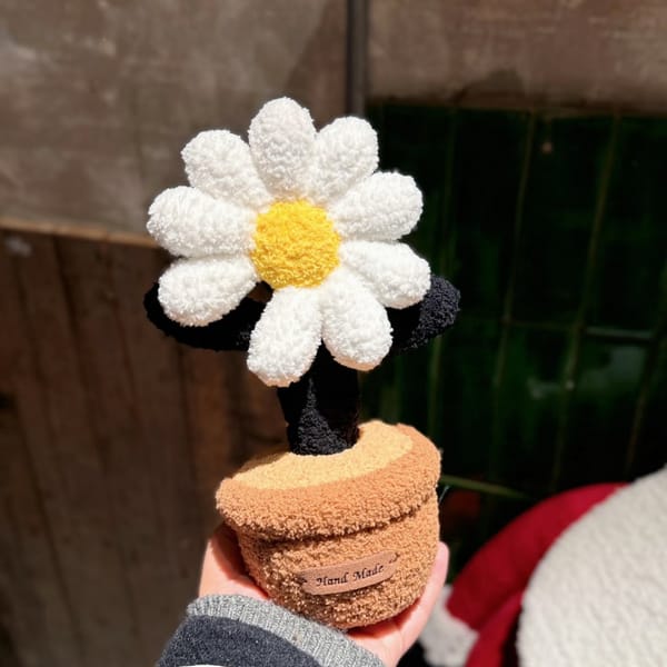 Daisy_Plant