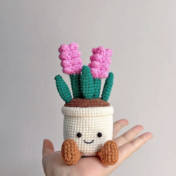 Hyacinth_Potted_Plants