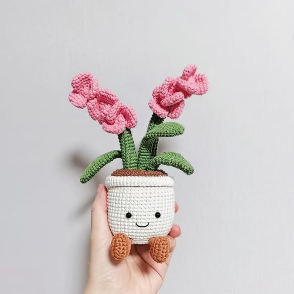 Orchid_Potted_Plants