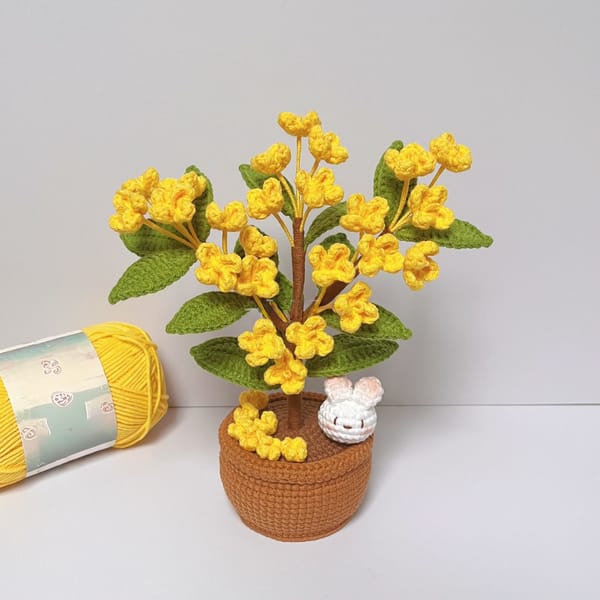 Osmanthus_Potted_Plants