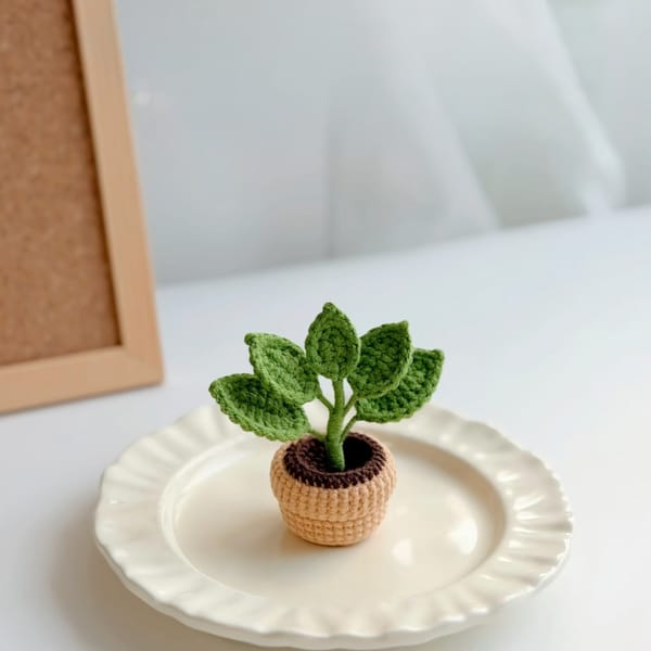 Potted_Plants