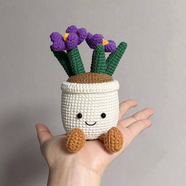 Saffron_Potted_plants